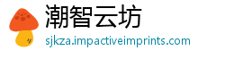 潮智云坊